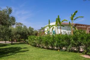 トッレ・サン・ジョヴァンニ・ウジェントにあるTenuta Solentinoの木々と芝生の庭のある家