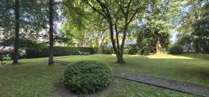 a park with a bench and trees and a bush at Vacation and business city apartment in Mönchengladbach