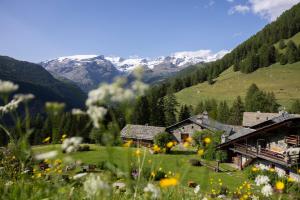 尚波吕克玛斯克纳吉酒店的拥有花田的山间度假胜地