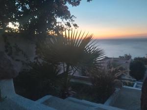 Příroda nedaleko penzionu