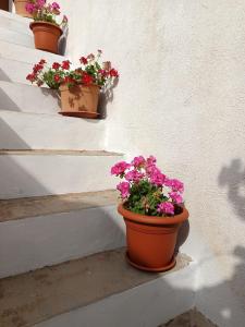 three pots of flowers sitting on the side of a wall at da Mescia Maria in Morciano di Leuca