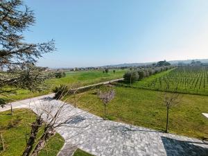 una vista aerea di un campo con alberi e un sentiero di A Casa di Lanfranco a San Giovanni in Marignano