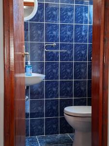 a blue tiled bathroom with a toilet and a sink at Apartman Maša Bileća in Bileća +18 photos