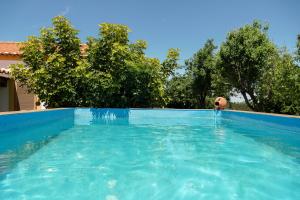 a swimming pool with a ball in the water at Monte dos Touris in Santiago do Cacém
