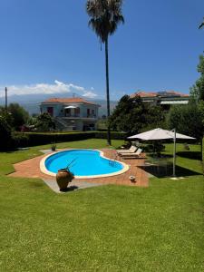a swimming pool in a yard with a palm tree at Green paradise with Etna view in Mascali