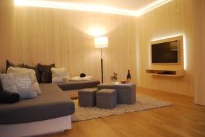 uma sala de estar com um sofá e uma televisão em Ferienwohnung Rheintal em Feldkirch