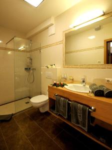 uma casa de banho com um WC, um lavatório e um chuveiro em Jagdhof Ligedl em Mayrhofen