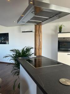 Η κουζίνα ή μικρή κουζίνα στο GreenTreeHomes - Penthouse Willow