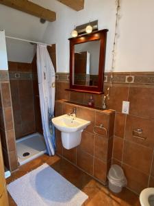 a bathroom with a sink and a shower and a mirror at Ferienweingut Schlägel in Bremm