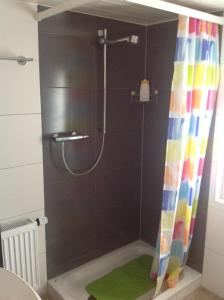 een douche met een kleurrijk douchegordijn in de badkamer bij Appartement La Croix in Villarvolard