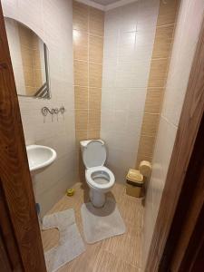 une petite salle de bain avec toilettes et lavabo dans l'établissement Родинна оселя, à Slavsko