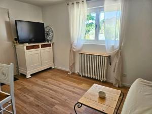 Μια τηλεόραση ή/και κέντρο ψυχαγωγίας στο Appartement une chambre avec jardin