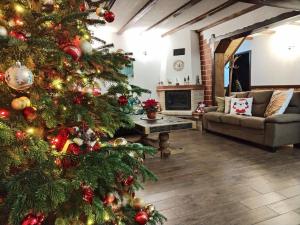 a christmas tree in a living room with a couch at Casa de pe Uliță in Fundata