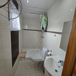 a white bathroom with a toilet and a sink at Domki letniskowe SOKÓŁ in Okuninka +32 photos