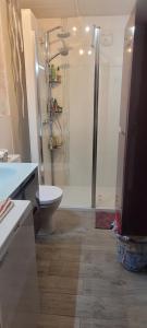 Grand studio près Lac Gaillands في شامونيه مون بلان: حمام فيه شطاف و مرحاض