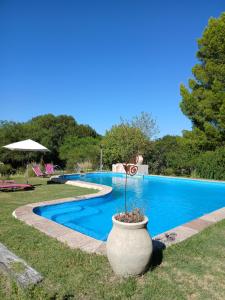 a large vase with a plant in it next to a swimming pool at Indra-La Casa de Nanda in San Javier