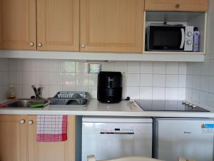 una cocina con fregadero y microondas en appartement valmeinier 1800, en Valmeinier