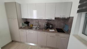 Kuchyň nebo kuchyňský kout v ubytování Apartments Rotim