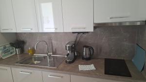 Kuchyň nebo kuchyňský kout v ubytování Apartments Rotim