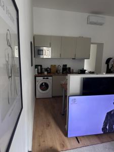 Kuchyň nebo kuchyňský kout v ubytování Pest Vibes