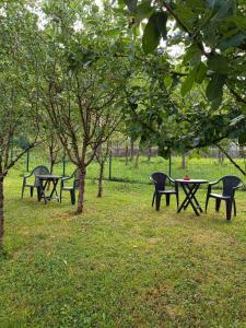 a group of picnic tables and chairs in a park at Sobe pri Roži in Postojna