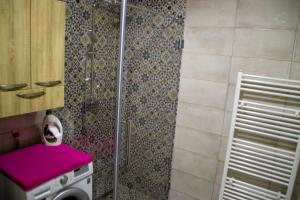 a bathroom with a shower with a washing machine at Apartment Stella in Bihać