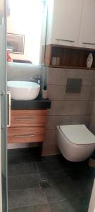 a bathroom with a sink and a toilet at Haus Andreas in Néa Meságkala