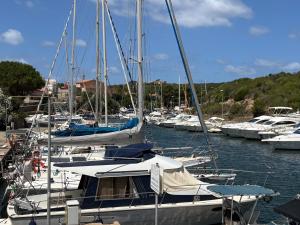 a group of boats docked in a harbor at Guest House Pesce Celeste in Stintino