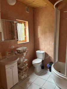 a bathroom with a toilet and a sink and a shower at Domek w Ostrowite in Ostrowite +6 photos