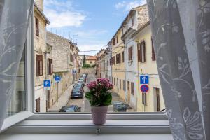 eine Vase voller Blumen, die auf einem Fensterbrett sitzt in der Unterkunft Center Apartment Tina in Pula