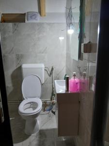 a bathroom with a white toilet and a sink at Guest House Tofaj in Deçan