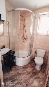 a bathroom with a shower and a toilet and a sink at Domki nad rzeką Solinką in Terka +12 photos