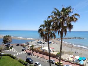 uma vista para uma praia com palmeiras e para o oceano em appartamento sul mare Massasso em Ventimiglia