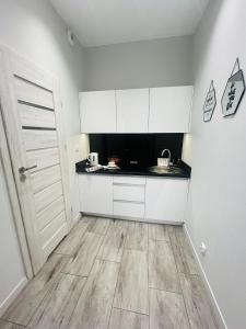Kuchyňa alebo kuchynka v ubytovaní Property Apart - Ruska Centrum