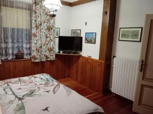 a bedroom with a bed and a tv and a window at Casa Francesco in Peaio