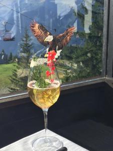 ein Glas Wein mit einem Vogel im Fenster in der Unterkunft Hotel Chalet Il Capricorno in Sauze dʼOulx