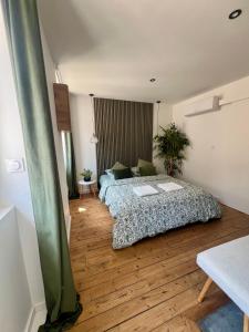 a bedroom with a bed in a room at Studio cosy cœur de ville in Vienne