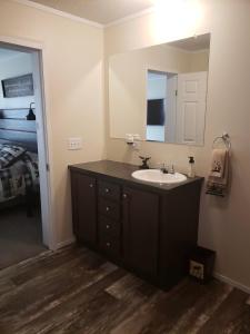 a bathroom with a sink and a mirror at Hidden meadow in Pullman