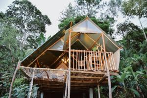 Fotografie z fotogalerie ubytování Ella Peace View Glamping Tent v destinaci Badulla