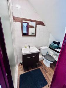 a bathroom with a toilet and a sink and a mirror at Le Cocon - Gravelines Centre in Gravelines
