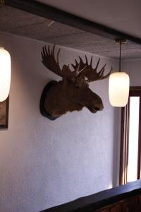 Galeriebild der Unterkunft Heia Gjestegård in Grong