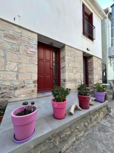 three potted plants sitting in front of a house at Agapis Apartments in Petra +6 photos