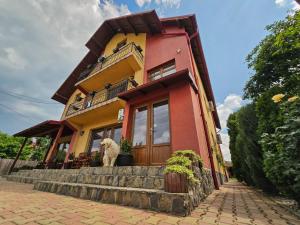 阿尔杰什河畔库尔泰亚Casa Leu的狗站在房子的台阶上