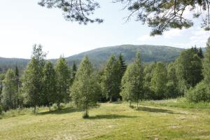 Galeriebild der Unterkunft Heia Gjestegård in Grong + 42 Fotos