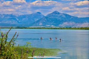 a group of people in kayaks on a body of water at Lake Retreat Villa in Shkodër