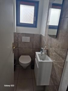 ein Badezimmer mit Toilette und Waschbecken und einem Fenster in der Unterkunft Chez Tony in Wintzenheim + 9 Fotos