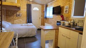 a small kitchen with a bed and a sink in a room at Studio en centre ville climatisé in Lamotte-Beuvron