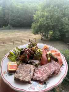 a plate of food with meat and a salad at Auberge les plantades in Laviolle