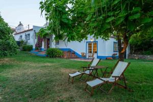 Κήπος έξω από το Casa da Tita
