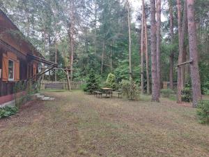 Zahrada ubytování Leśna chatka + 2 fotografie